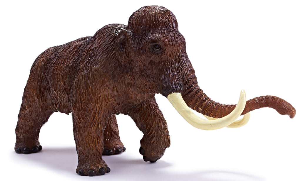 Science and Nature | Mammoth Soft PVC