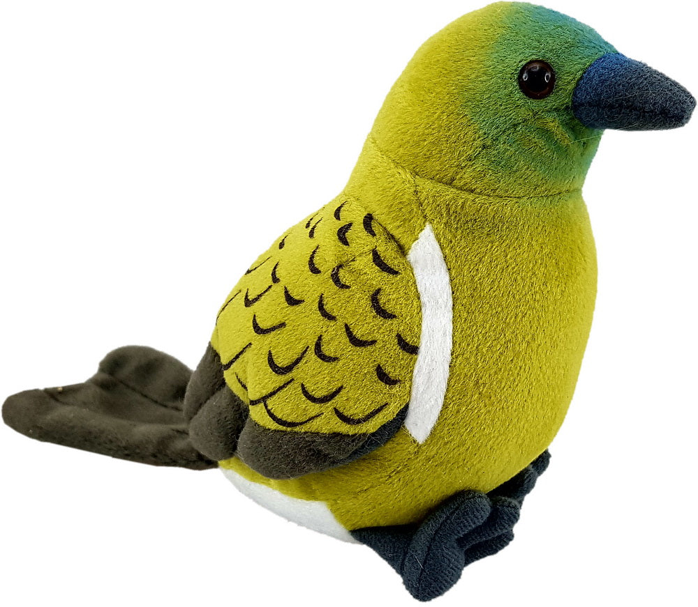 Antics | Korimako Sound Bird