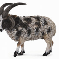 CollectA | Jacob Sheep 88728