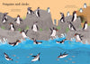 Usborne | Little First Stickers Seashore