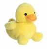 Palm Pals | Tubby Rubber Ducky
