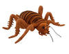Antics | Giant Weta