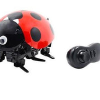 Intelligent DIY Lady Bug Robot Kit (2.4GHz)