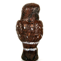 Science and Nature|  Boobook/Morepork Owl
