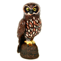 Science and Nature|  Boobook/Morepork Owl