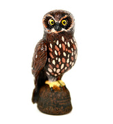 Science and Nature|  Boobook/Morepork Owl
