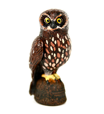Science and Nature|  Boobook/Morepork Owl