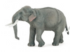Papo | Asian Elephant