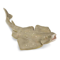 CollectA | Angel Shark 88999