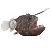 CollectA | Anglerfish