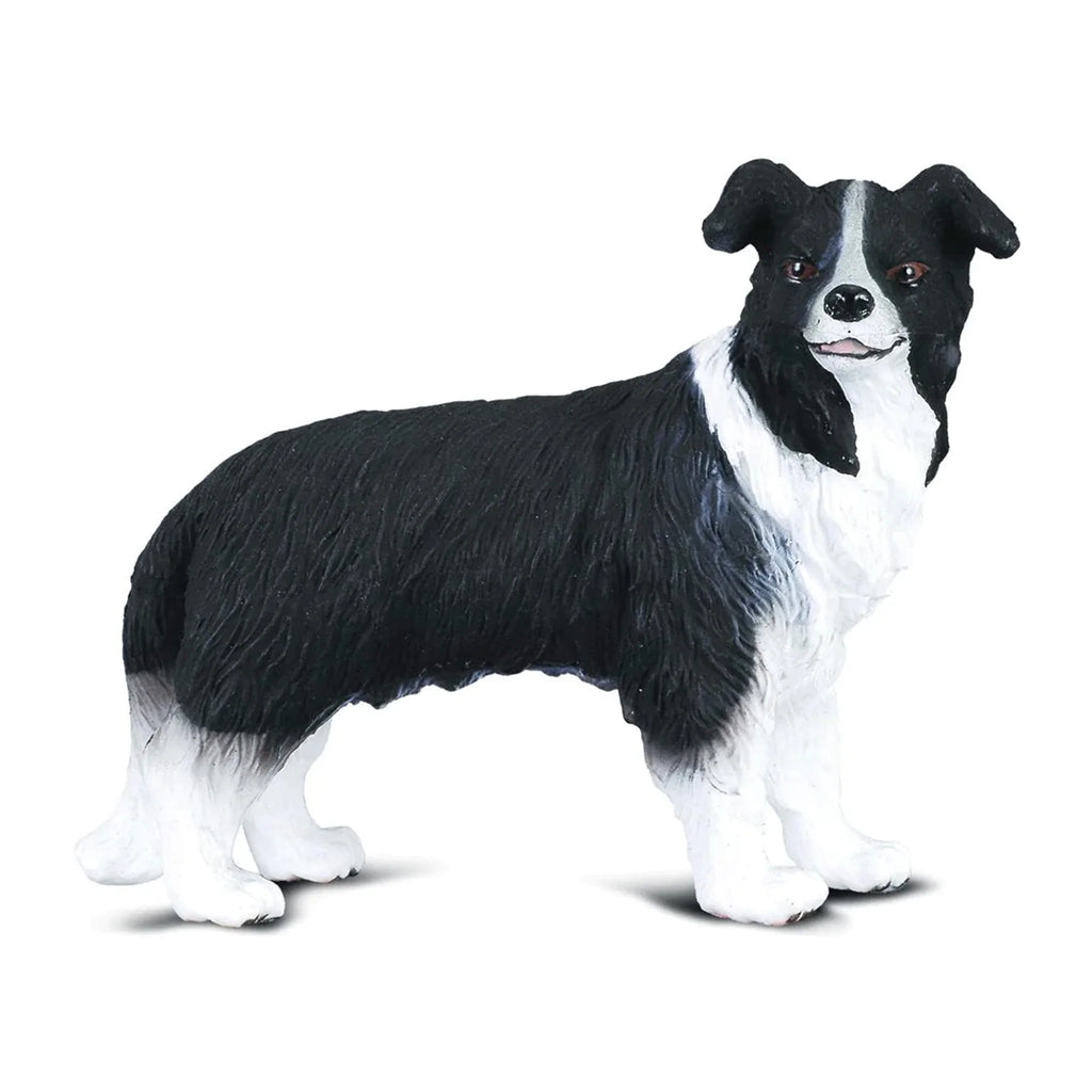 CollectA | Border Collie 88010