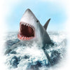 CollectA | Great White Shark