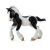 CollectA | Gypsy Foal Black and White Piebald