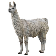 CollectA | Llama