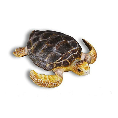 CollectA | Loggerhead Turtle 88094