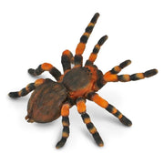 CollectA | Mexican Red Kneed Tarantula