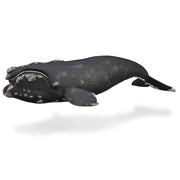 CollectA | Right Whale