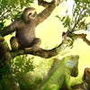 CollectA | Sloth