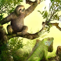 CollectA | Sloth