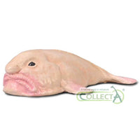 CollectA | Blobfish