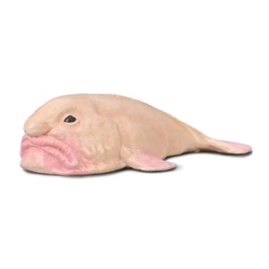 CollectA | Blobfish