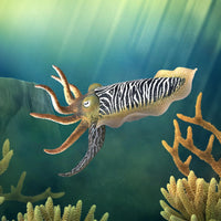 CollectA | Common Cuttlefish