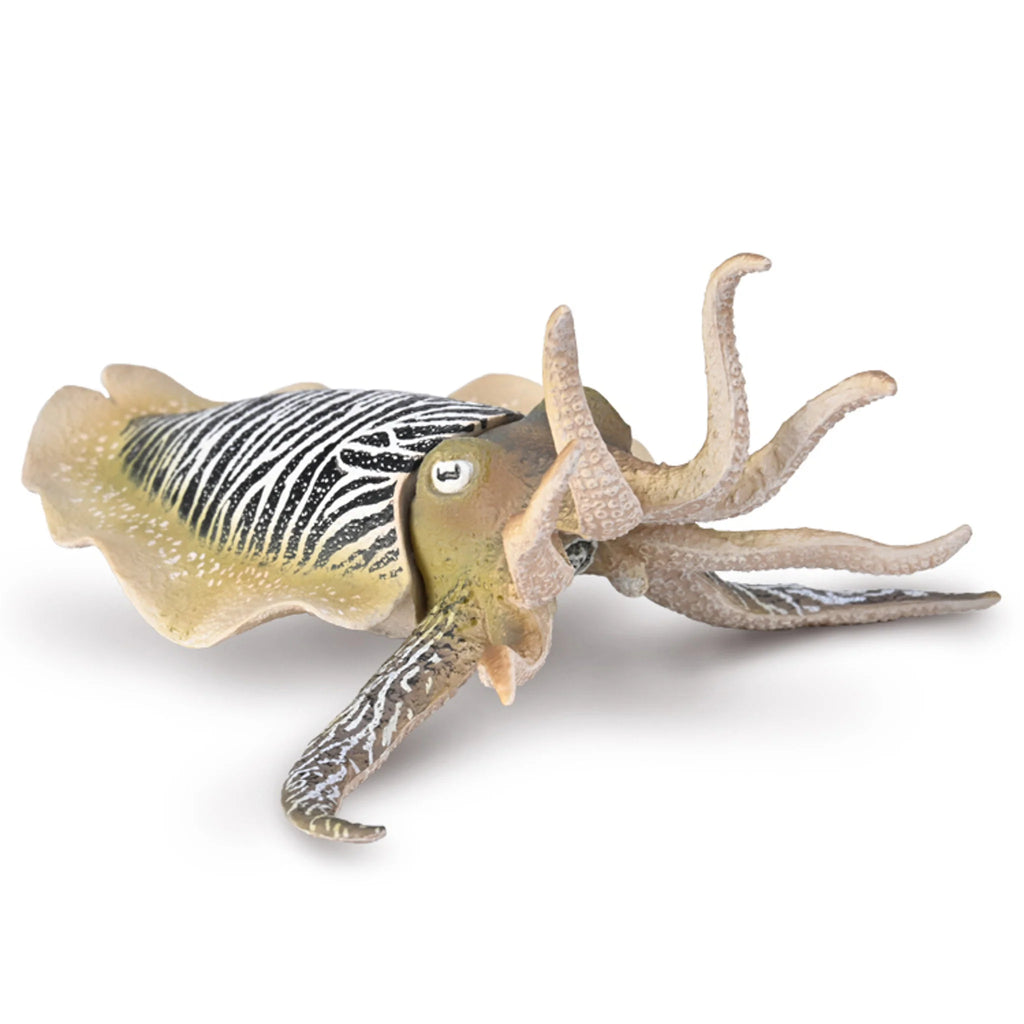 CollectA | Common Cuttlefish