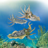 CollectA | Common Cuttlefish