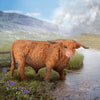 CollectA | Highland Bull