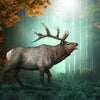 CollectA | North American Wapiti