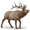 CollectA | North American Wapiti