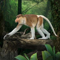 CollectA | Proboscis Monkey