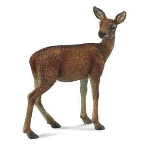 CollectA | Red Deer Hind 88470