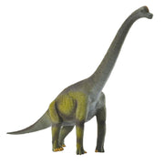 CollectA | Brachiosaurus