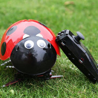 Intelligent DIY Lady Bug Robot Kit (2.4GHz)