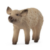 Schleich | Mangalica Piglet