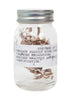 Seedling | Dinosaur Fossils in a Jar