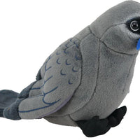 Antics | Kokako Sound Bird