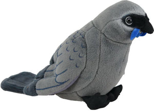 Antics | Kokako Sound Bird