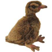 Antics | Weka Sound Bird