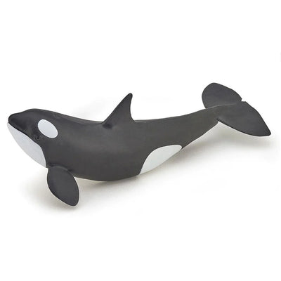 Papo Orca Killer Whale Calf