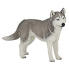 Papo | Siberian Husky Dog