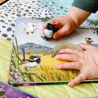 Science and Nature | Small Blue Wren