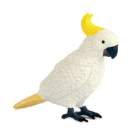 Science and Nature | Cockatoo Small