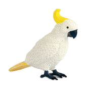 Science and Nature | Cockatoo Small