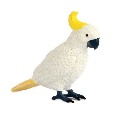 Science and Nature | Cockatoo Small