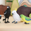 Science and Nature | Cockatoo Small