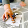 Science and Nature | Kookaburra Small