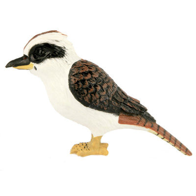 Science and Nature | Kookaburra Small