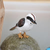 Science and Nature | Kookaburra Small